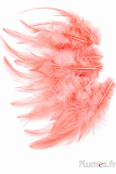Haan - 8-12 cm - zalm-roze
